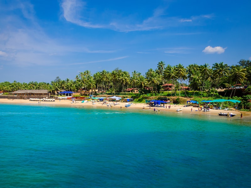 A palm-lined Goan cove above turquoise water