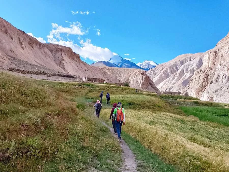 Trekkers walking a valley trail below Himalayan peaks