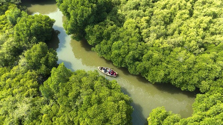 A boat on a mangrove channel in the Sundarbans, seen from above
