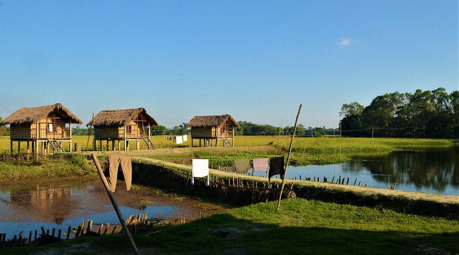 Bamboo stilt houses beside the water on Majuli island