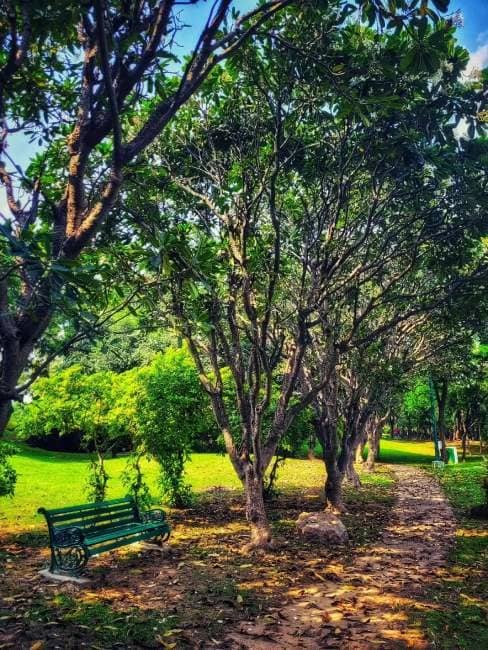 An empty bench on a quiet garden path